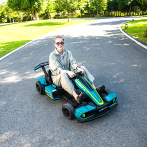 Teenager & Adult Electric Go Kart ROO-002